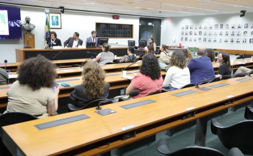 Convidados de audiência pública defendem que ultraprocessados fiquem de fora da nova cesta básica