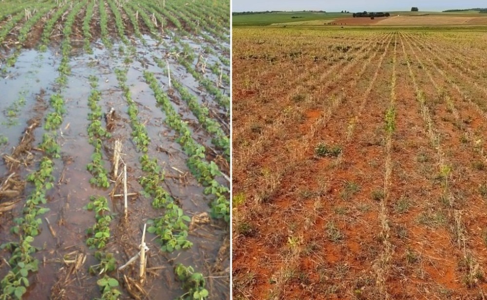Mapa publica zoneamento agrícola para reduzir riscos relacionados a problemas climáticos