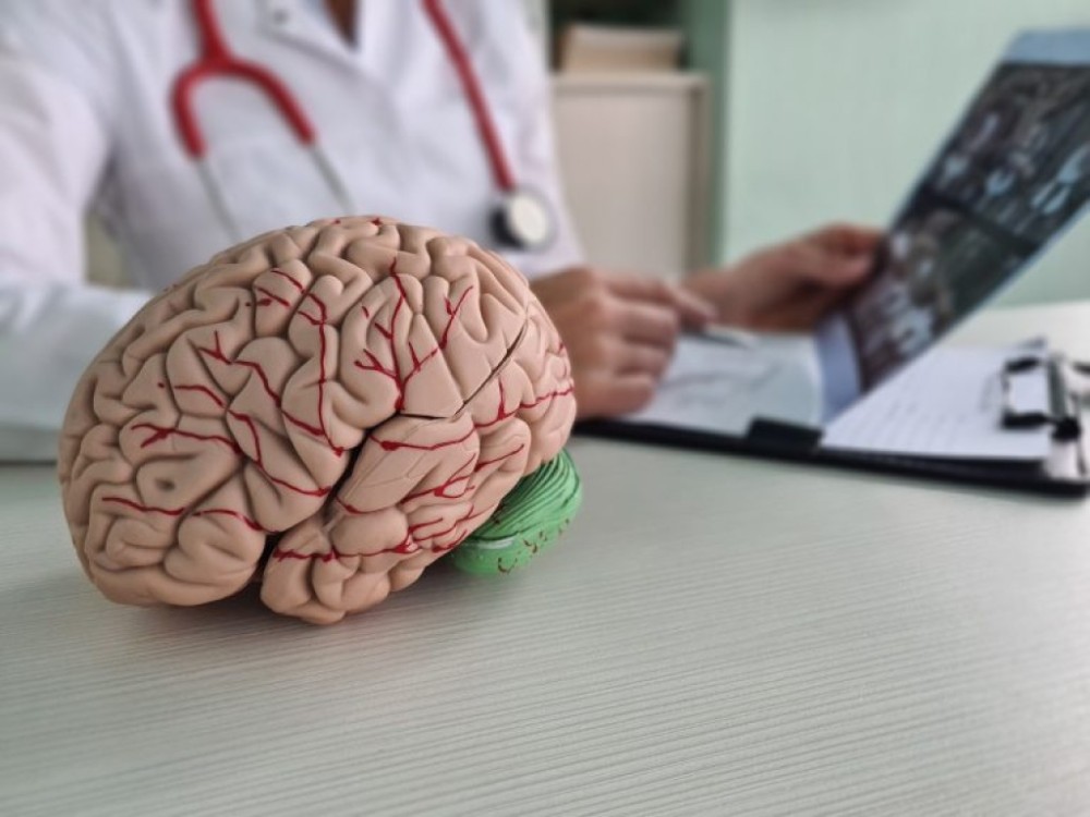 Comissão de Saúde debate a criação do Dia do Neurocirurgião