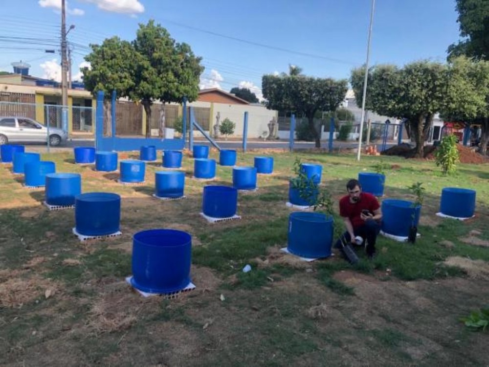 Escola Aureliano Pereira da Silva desenvolve o Projeto Pomar de frutíferas em Vasos