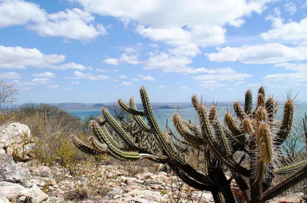 Projeto sobre o Fundo Nacional sobre Mudança do Clima está na pauta da CAE