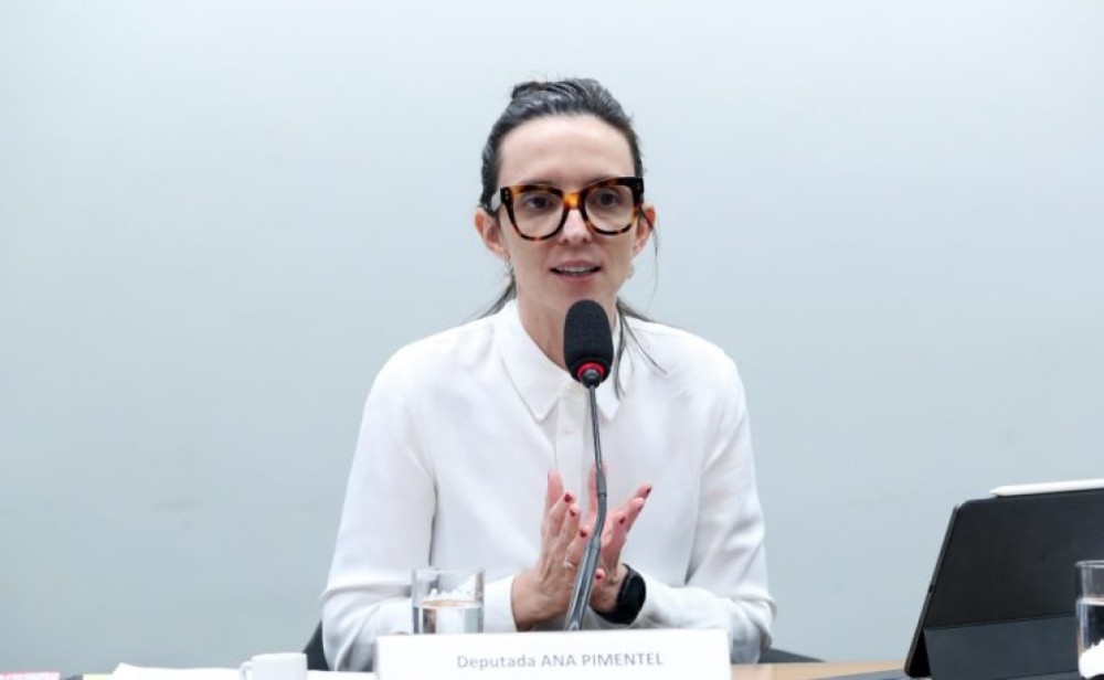 Comissão discute incentivo à participação feminina nas plataformas digitais
