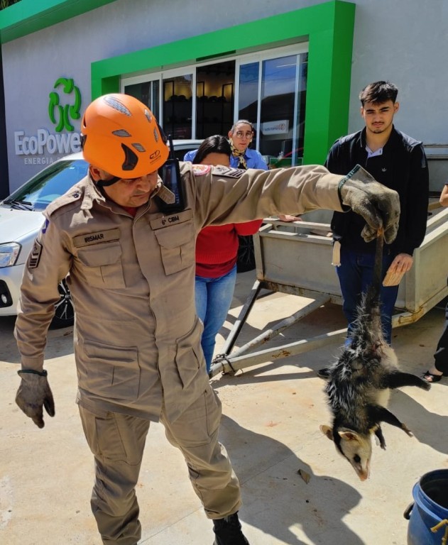 Corpo de Bombeiros resgata gambá dentro de cavalete de registro de água