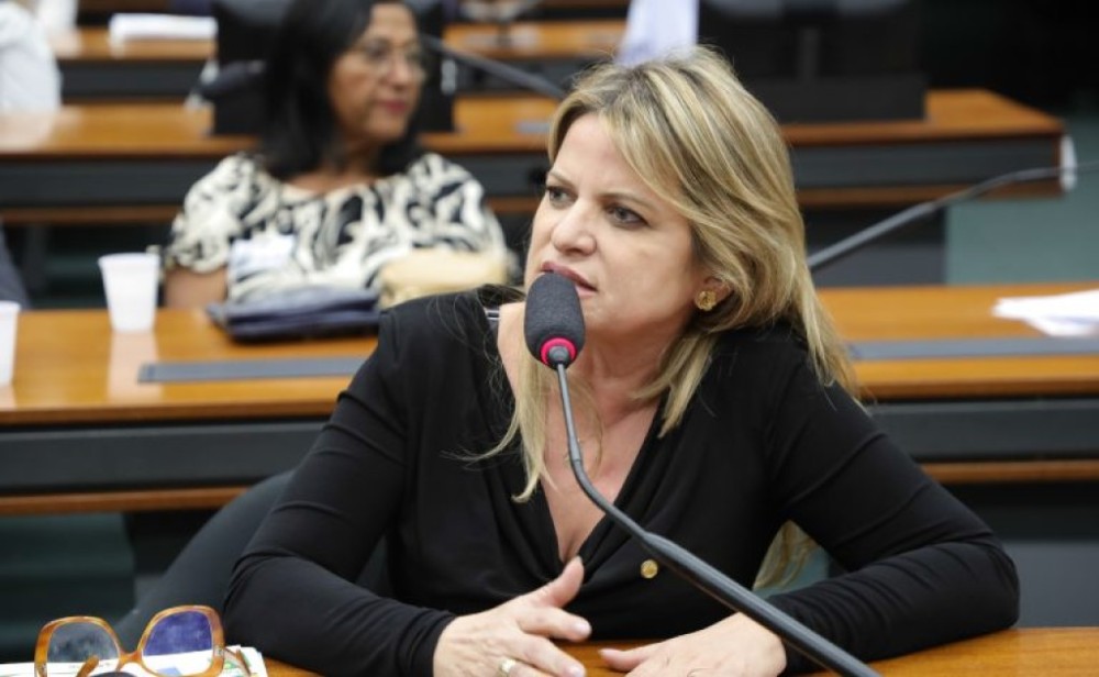 Comissão aprova projeto que prevê estabilidade para trabalhadora que detenha guarda judicial de criança