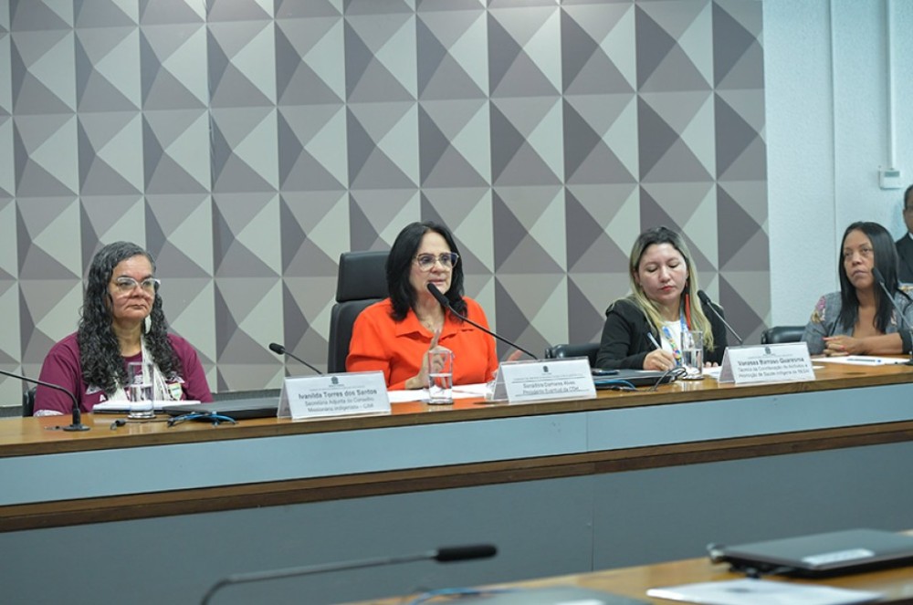 Debatedores defendem fortalecimento de políticas públicas para crianças indígenas