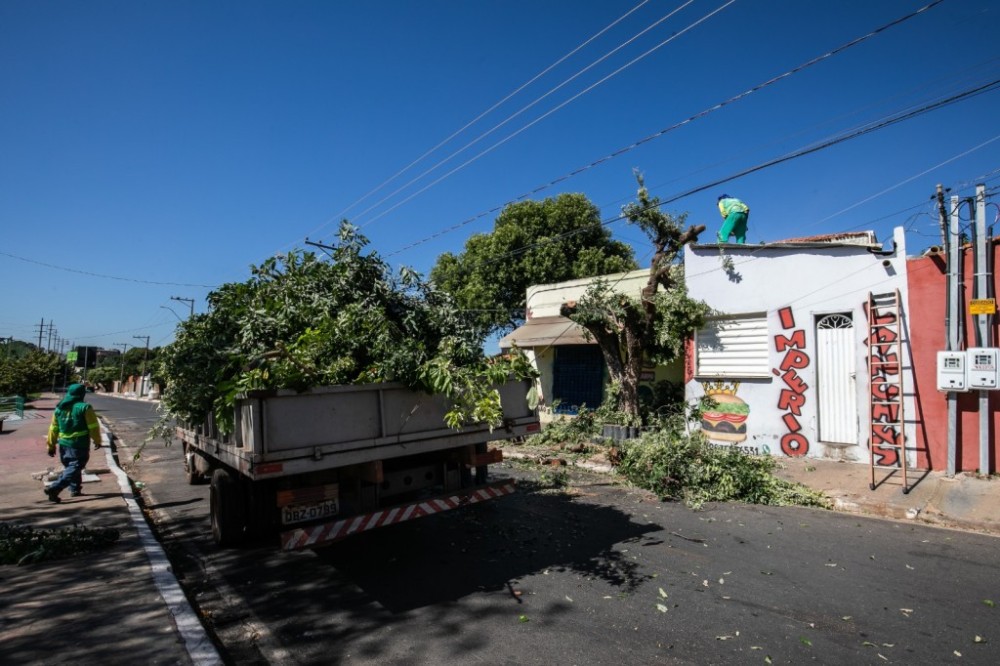 Limpurb atende avenidas, praças e parques através do mutirão de limpeza nesta sexta-feira (24)