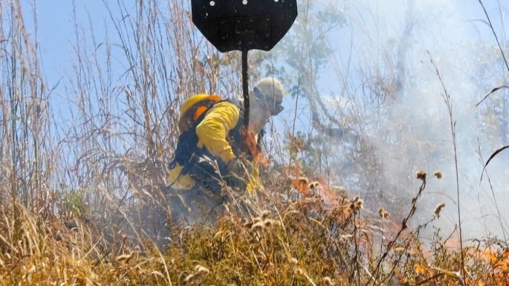 GDF adota medidas preventivas para evitar queimadas durante a seca
