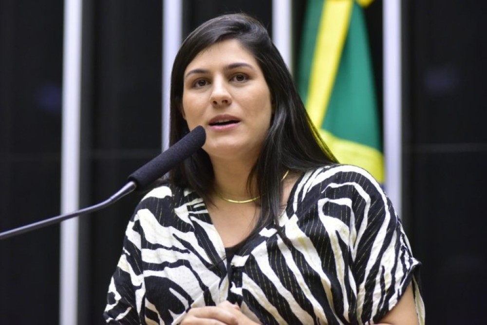 Comissão debate resolução do Conselho Federal de Medicina que proibiu o procedimento de assistolia fetal