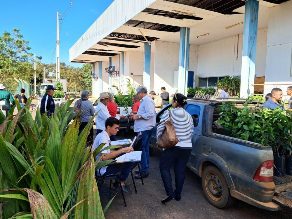 Agricultura impulsiona produção de frutas com entrega de 2.500 mudas para pequenos agricultores