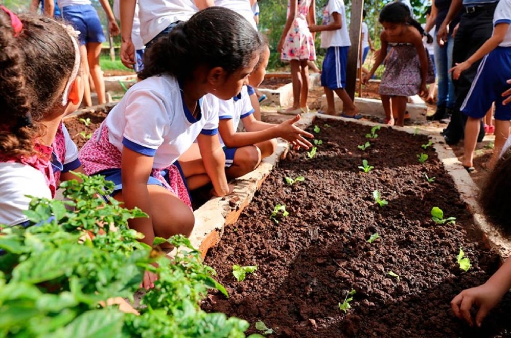 Plenário terá sessão especial pelos 25 anos da Política Nacional de Educação Ambiental