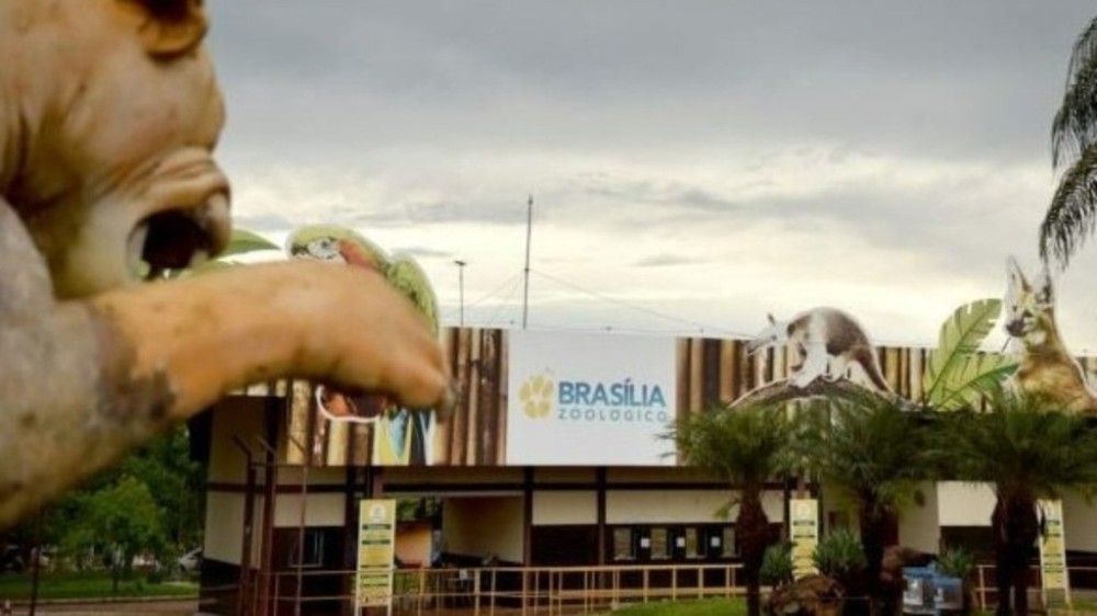 Zoo Noturno diverte visitantes com experiência única no mundo animal