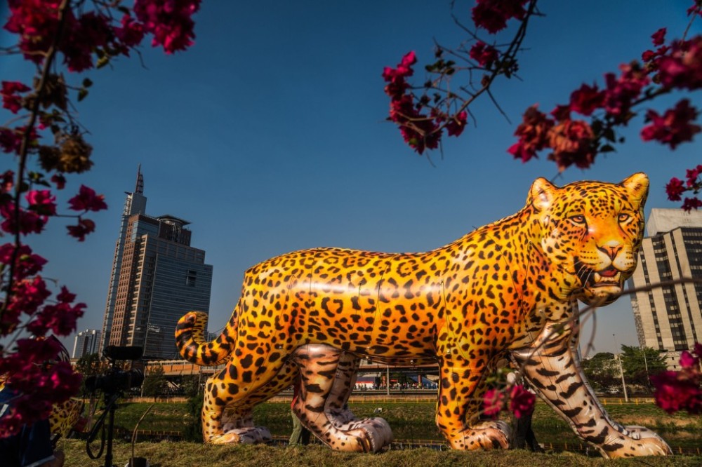 Viradinha Sustentável terá esculturas gigantes de onças-pintadas