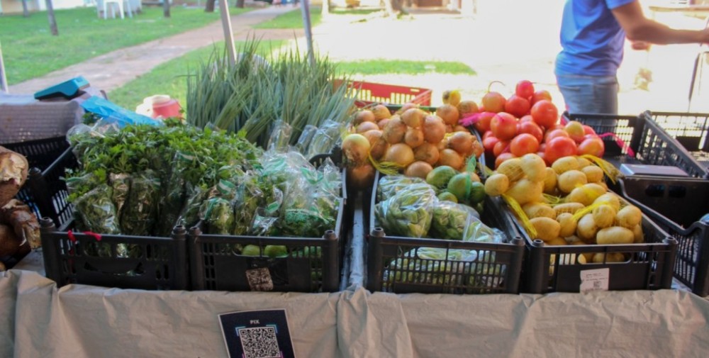 Feira da Agricultura Familiar de Várzea Grande: produtos direto do produtor nesta quinta-feira (06)