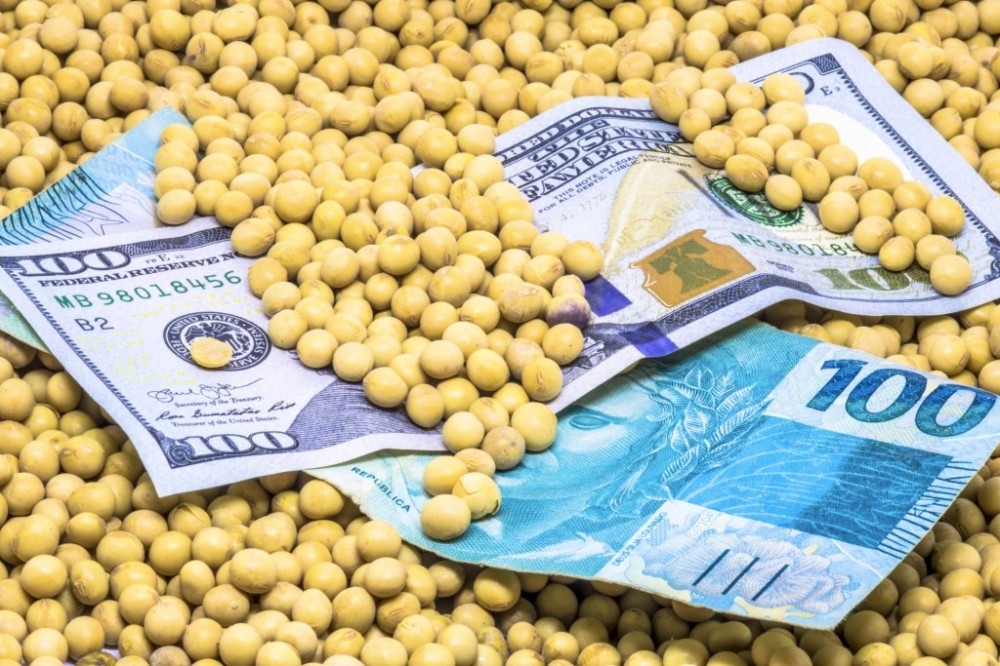 Soja em Mato Grosso: custo de produção cai, mas rentabilidade ainda preocupa