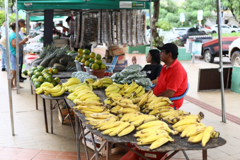 Sugestão de pauta: 3ª edição da Feira de Produtores de Pequenas Propriedades e Agricultura Familiar acontece nesta quarta-feira (5)