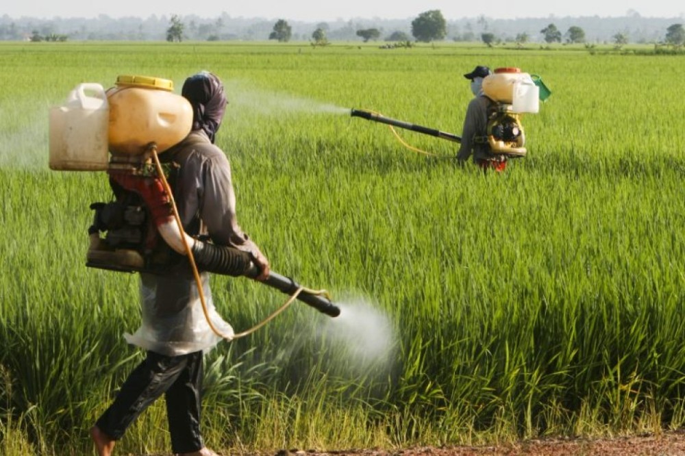 Audiência debate políticas para reduzir o uso de agrotóxicos no Brasil