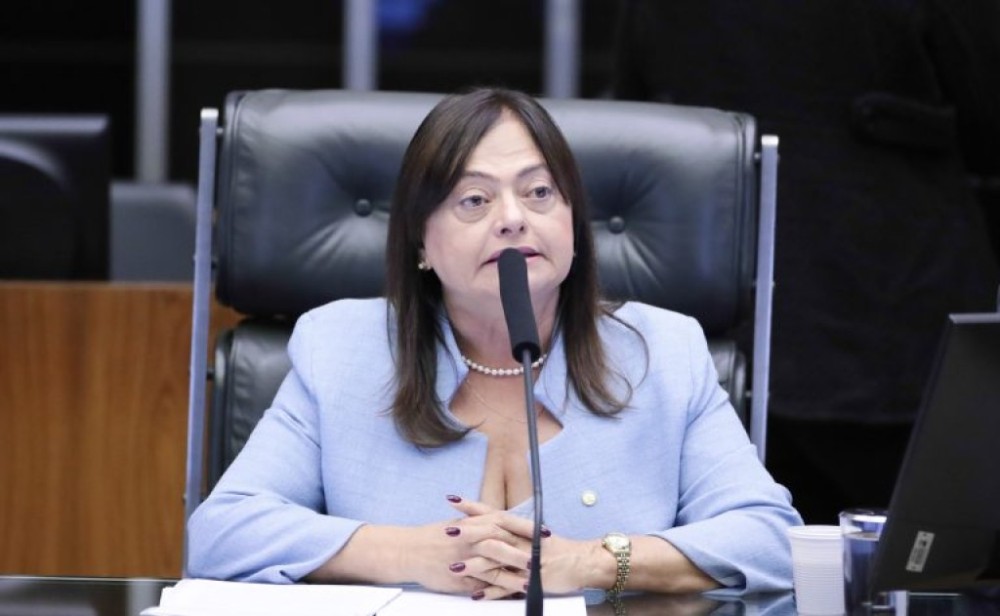 Comissão discute resultados da Conferência Nacional de Educação de 2024