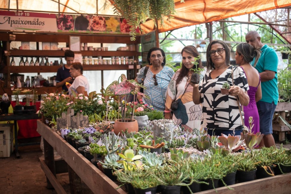 8º Festival de Feira de Orquídeas e Flores no Shopping Orla entre os dias 11 e 15 de junho