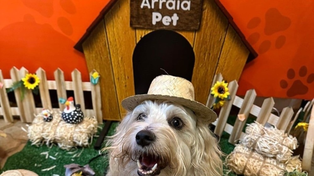 Arraiá Pet Solidário no Noroeste arrecada verba para proteção animal