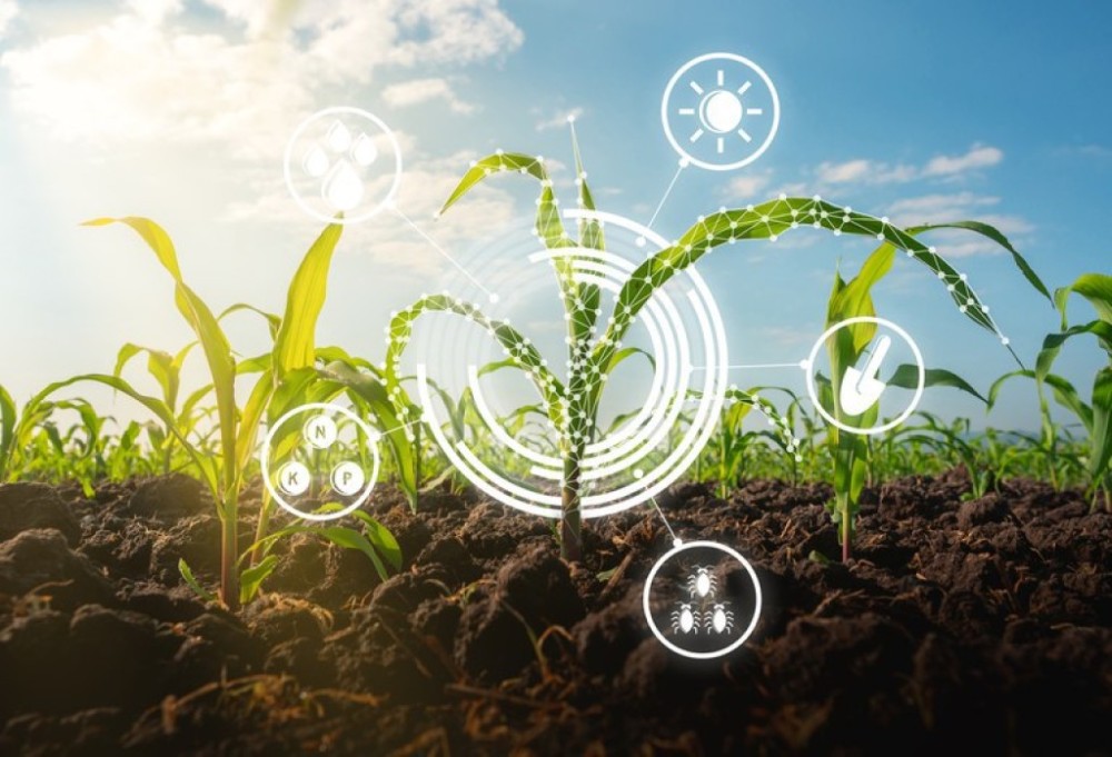 Empresa de Pesquisa Agropecuária de Minas Gerais lança programa de inovação e aceleração digital do agronegócio