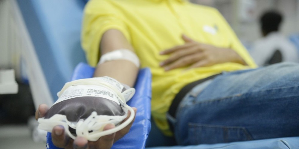 Hoje é Dia: doação de sangue, namorados e idosos se destacam na semana
