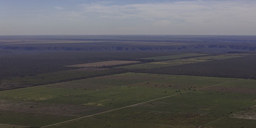 Em meio à expansão do desmatamento, Piauí debate nova lei ambiental