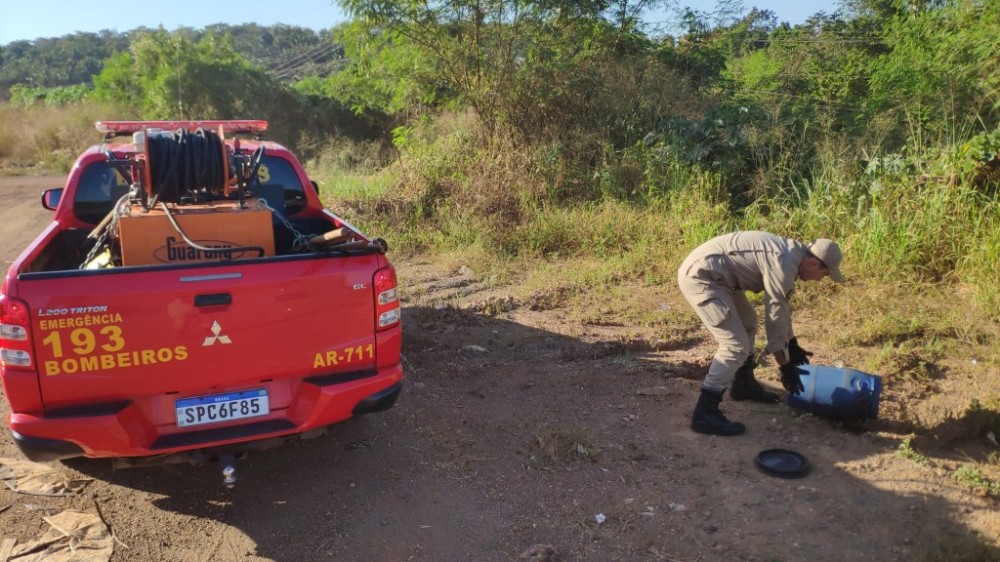 Bombeiros capturam jiboia encontrada em quintal de residência