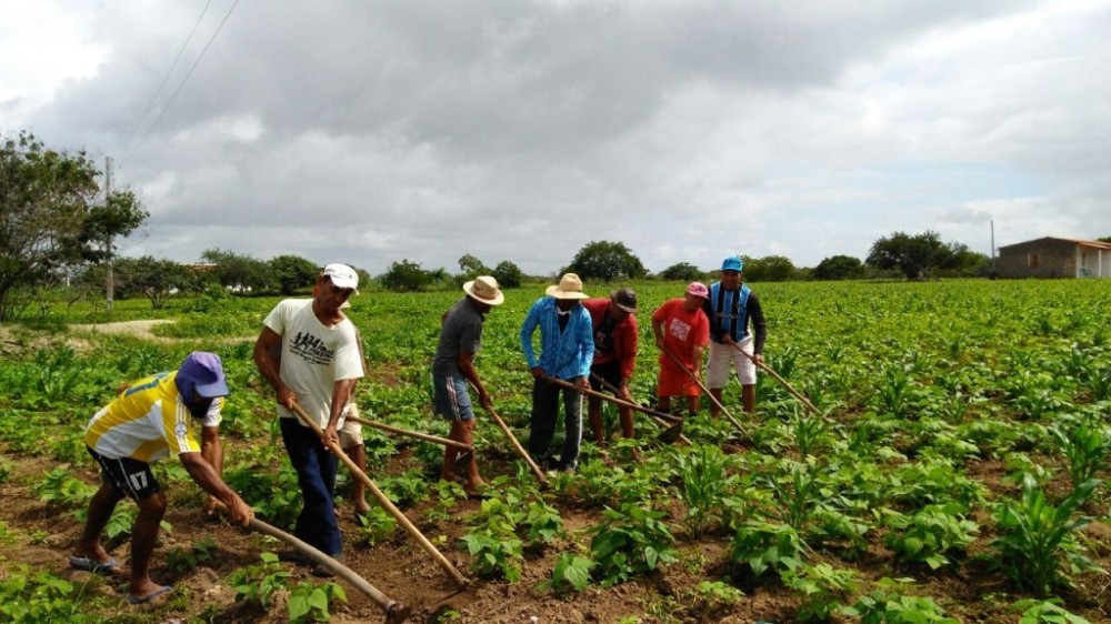 Agronegócio gerou 28 milhões de empregos em 2023, diz Cepea