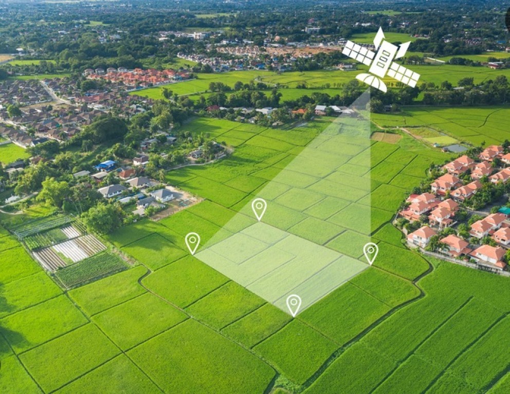 Agricultores apelam até para satélites para superar desafios climáticos