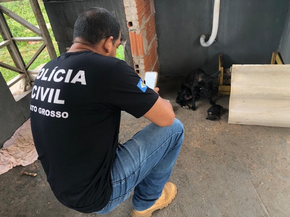 Dema apura denúncias de maus-tratos a animais em Cuiabá e Várzea Grande
