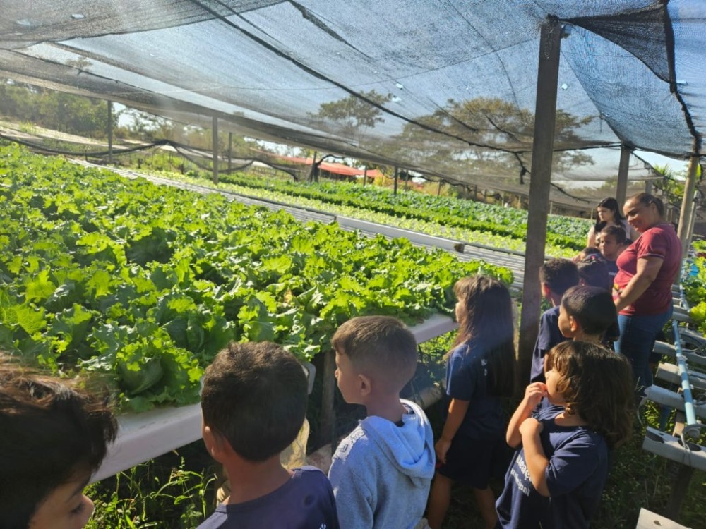 Alunos do CMEI Anterina aprendem tratos culturais em visita a horta hidropônica