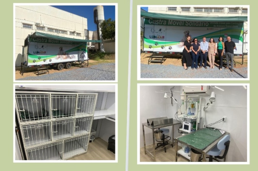 1ª etapa de projeto vai atender 600 animais que vivem na UFMT e entorno