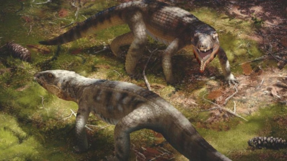Crocodilo que emitia sons e vivia com dinossauros é descoberto; veja