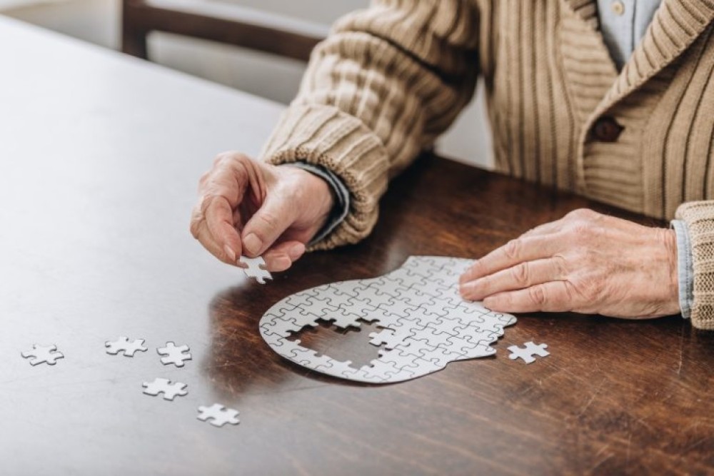 Comissão debate a incidência de casos de Alzheimer no Brasil