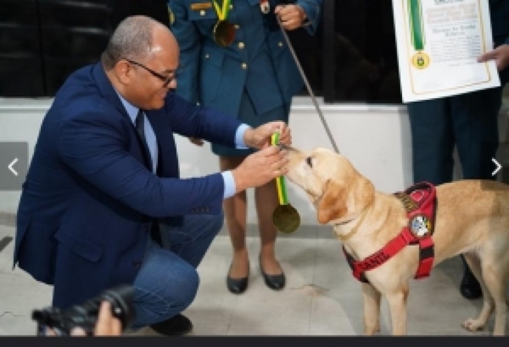 Bombeiros e CIOPAER recebem Moção de Bravura do vereador Eduardo Magalhães