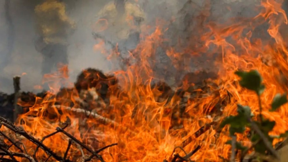 Brasil: quase 1/4 de terra pegou fogo nos últimos 40 anos, diz estudo