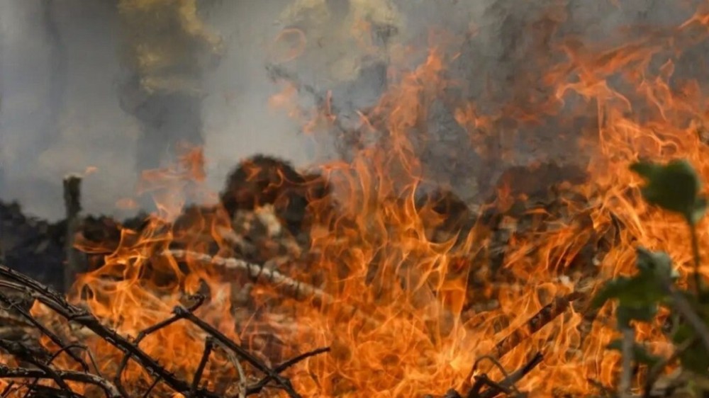 Quase um quarto do território brasileiro pegou fogo nos últimos 40 anos