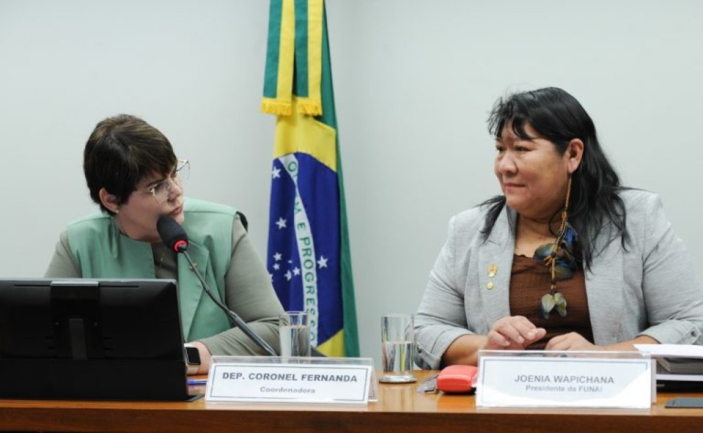 Presidente da Funai defende orçamento maior para fundação de apoio a povos indígenas
