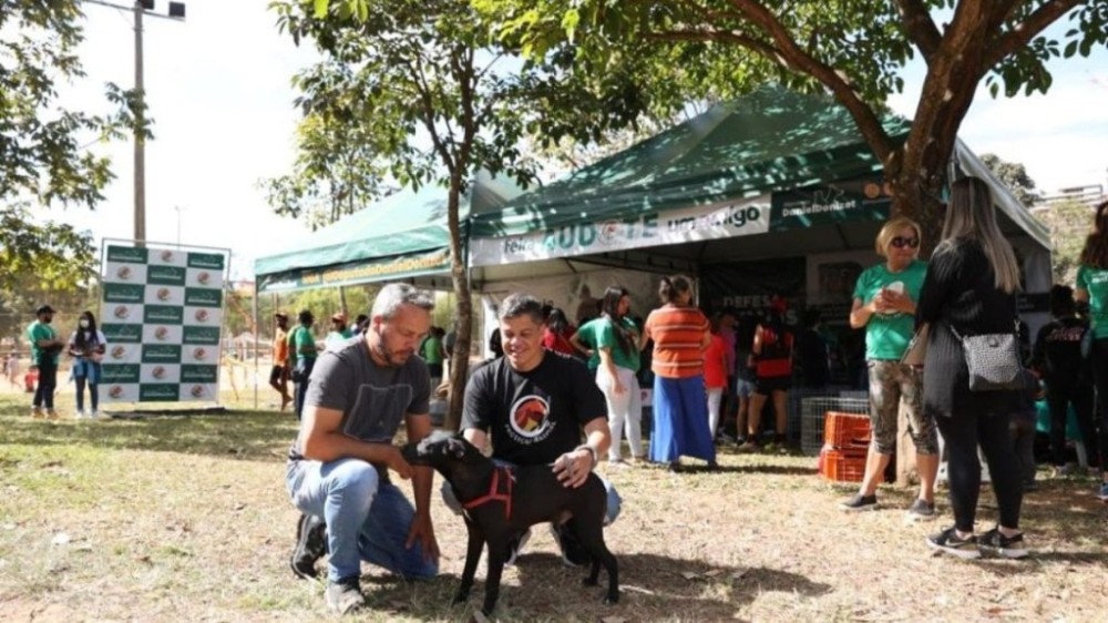 Feira 