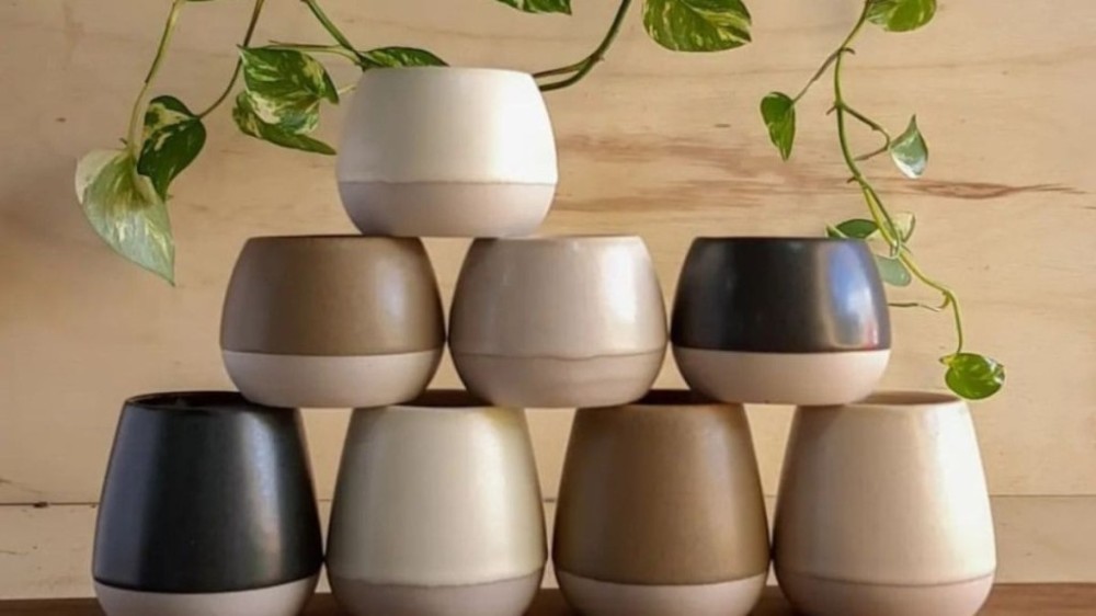 Interesse em aulas de cerâmica como hobby cresce; saiba onde fazer em Brasília