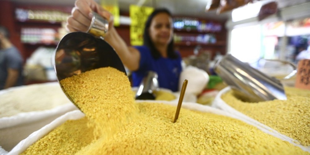 Em 2023, Brasil alcança recorde de 100 milhões de pessoas ocupadas