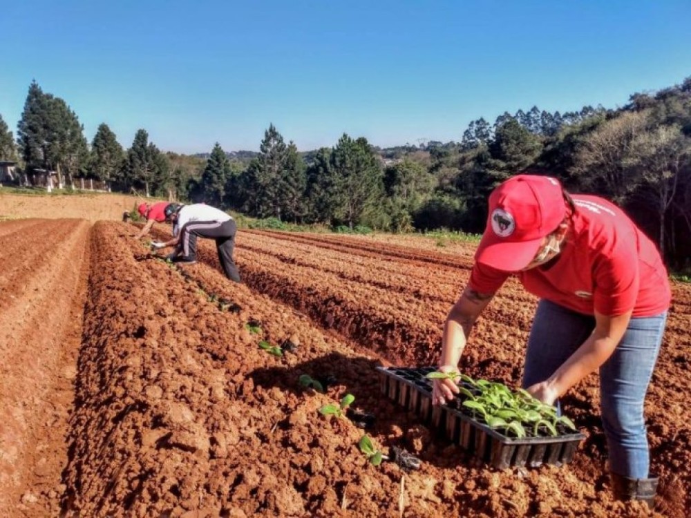 Projeto abre crédito orçamentário para aquisição de terras para reforma agrária