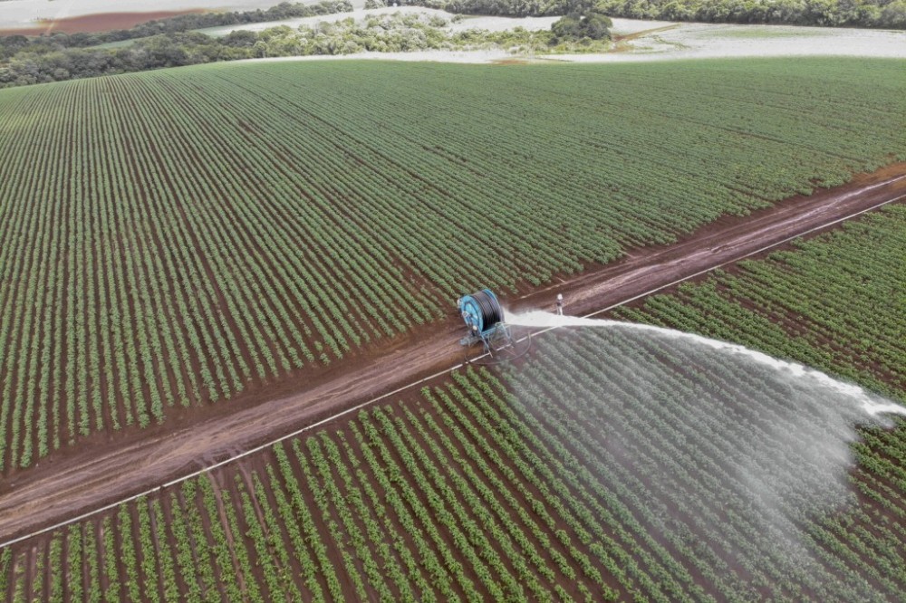 Banco do Agricultor já financiou R$ 646 milhões no Paraná