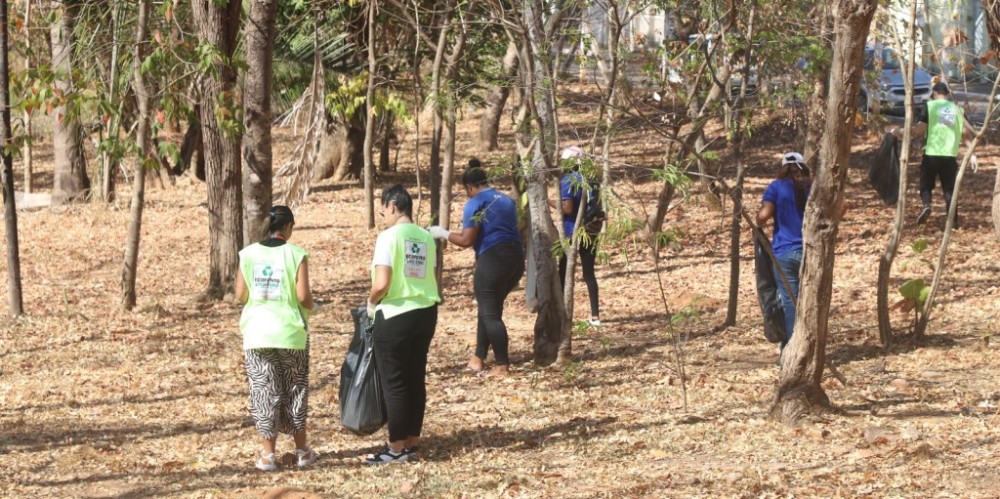 Mutirão no Parque Flor do Ypê inicia 