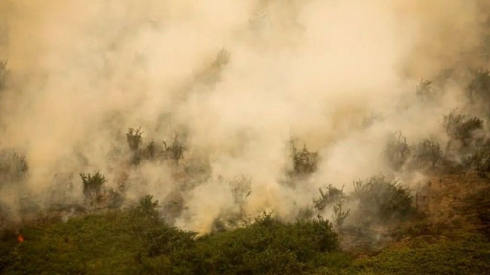 Governo vai liberar R$ 100 mi para combate a incêndios no Pantanal