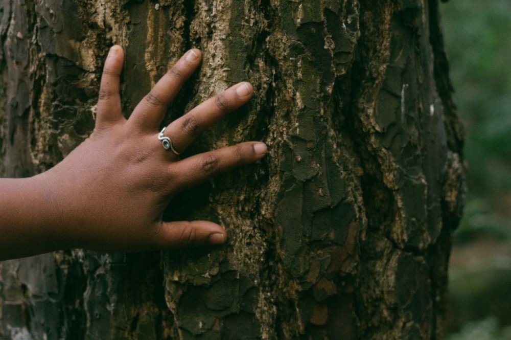 Próxima edição de projeto debate relação humana com a natureza