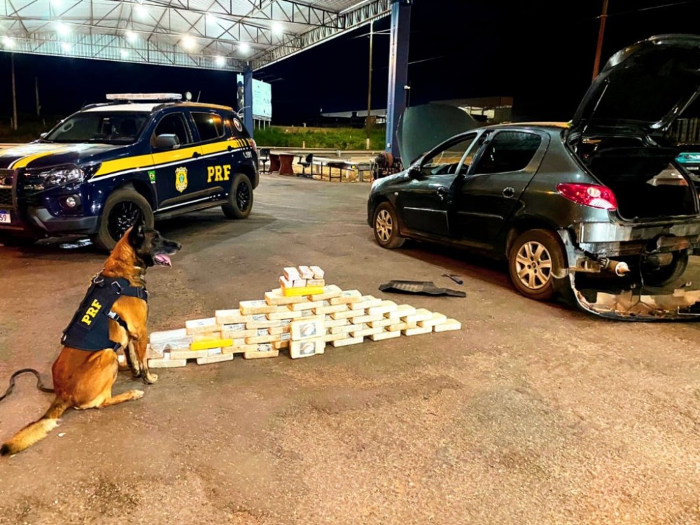 PRF realiza apreensão de drogas em ação em Rondonópolis/MT