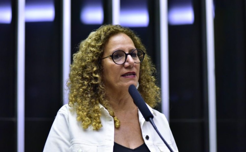 Câmara aprovou medida protetiva de urgência para mulher agredida e o protocolo 