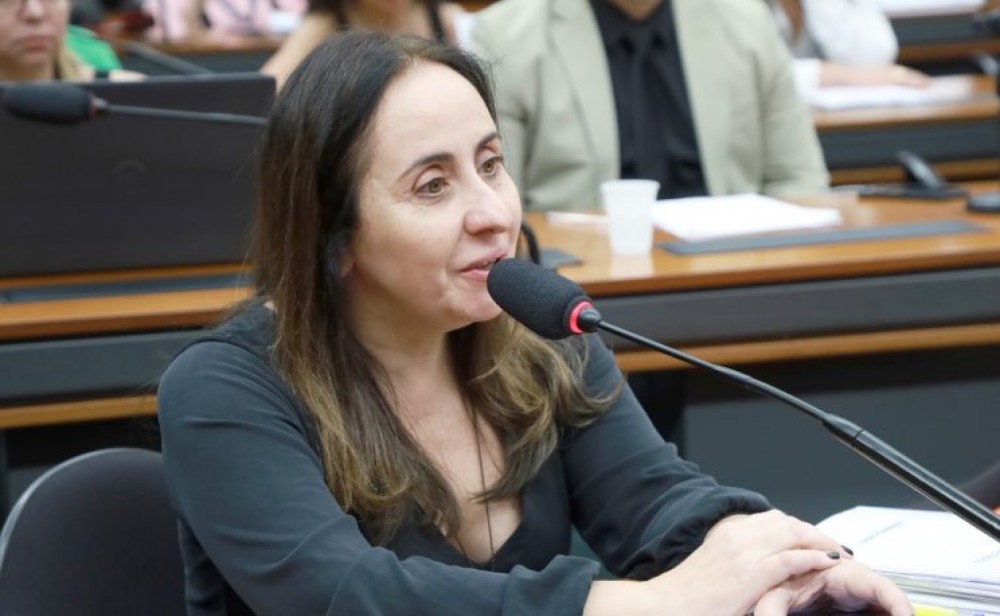 Projeto cria programa de doação incentivada para beneficiar educação básica