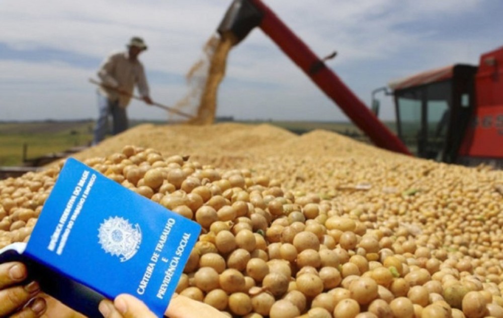 Agronegócio fecha 2023 com a geração de 28 milhões de empregos